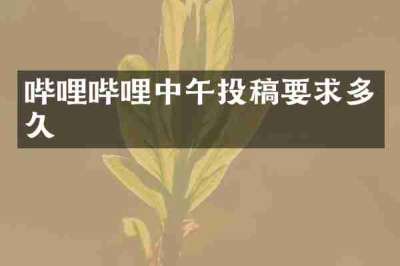 哔哩哔哩中午投稿要求多久