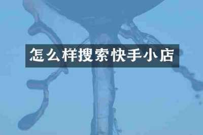 怎么样搜索快手小店