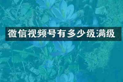 微信视频号有多少级满级