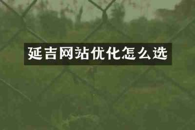 延吉网站优化怎么选