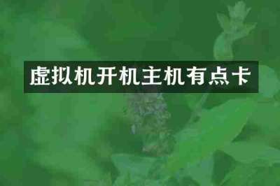 虚拟机开机主机有点卡