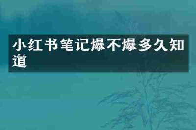 小红书笔记爆不爆多久知道