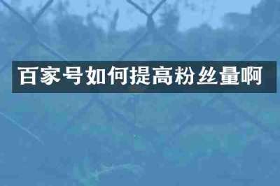 百家号如何提高粉丝量啊