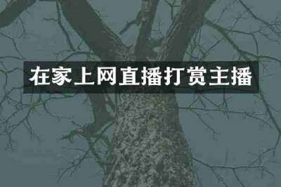 在家上网直播打赏主播