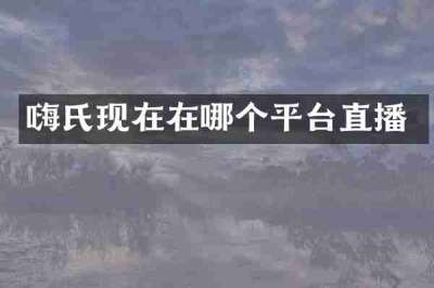 嗨氏现在在哪个平台直播