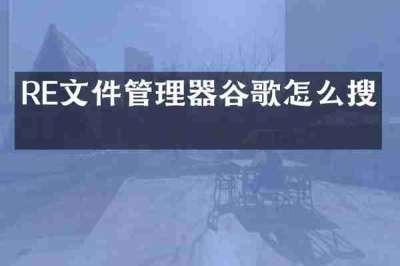 RE文件管理器谷歌怎么搜索