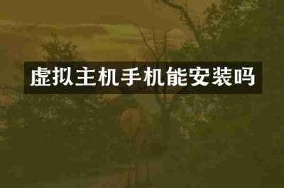 虚拟主机手机能安装吗