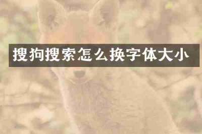 搜狗搜索怎么换字体大小