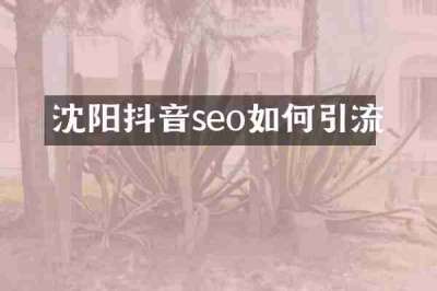 沈阳抖音seo如何引流