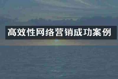 高效性网络营销成功案例