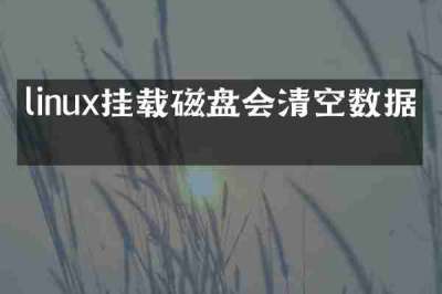 linux挂载磁盘会清空数据吗