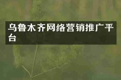 乌鲁木齐网络营销推广平台