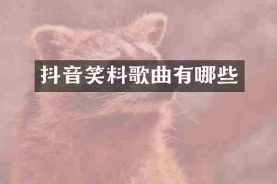 抖音笑料歌曲有哪些