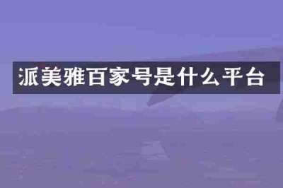 派美雅百家号是什么平台