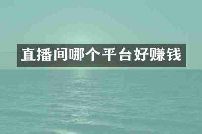 直播间哪个平台好赚钱