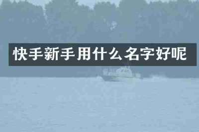 快手新手用什么名字好呢