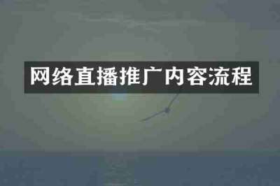 网络直播推广内容流程