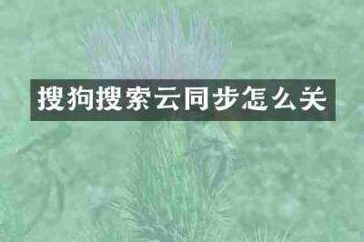 搜狗搜索云同步怎么关