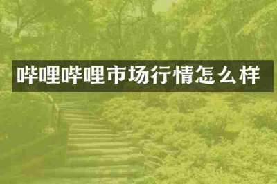 哔哩哔哩市场行情怎么样