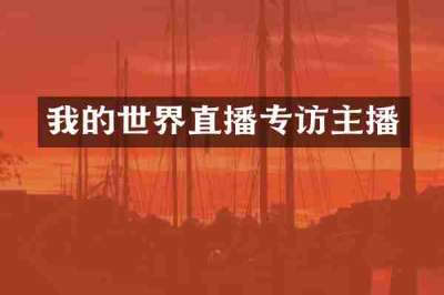 我的世界直播专访主播