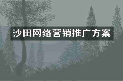 沙田网络营销推广方案