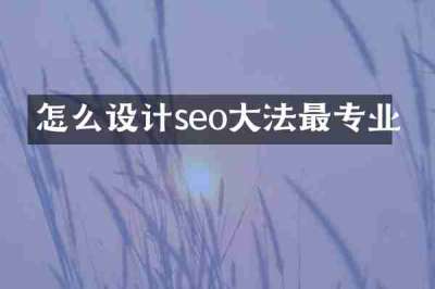 怎么设计seo大法最专业