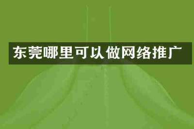 东莞哪里可以做网络推广