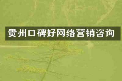 贵州口碑好网络营销咨询
