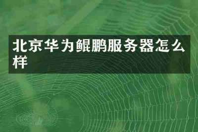 北京华为鲲鹏服务器怎么样