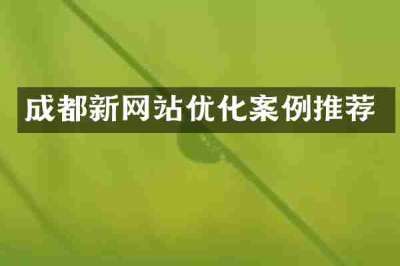 成都新网站优化案例推荐