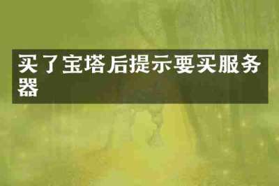 买了宝塔后提示要买服务器