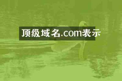 顶级域名.com表示