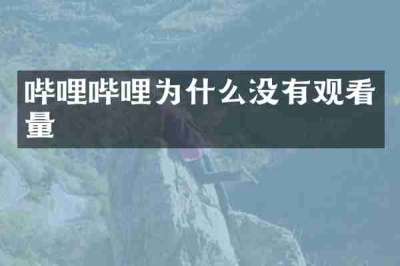 哔哩哔哩为什么没有观看量