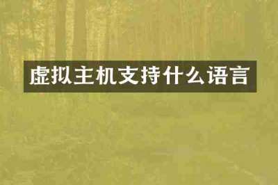 虚拟主机支持什么语言