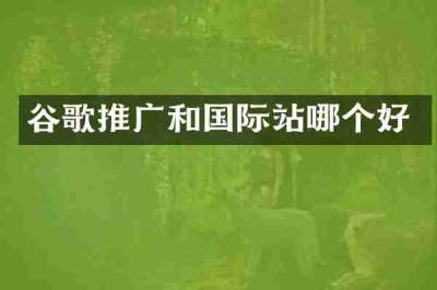 谷歌推广和国际站哪个好