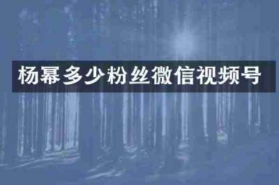 杨幂多少粉丝微信视频号