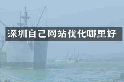深圳自己网站优化哪里好