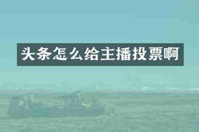 头条怎么给主播投票啊