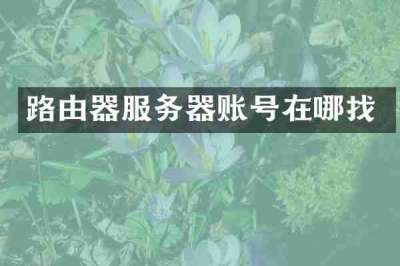 路由器服务器账号在哪找