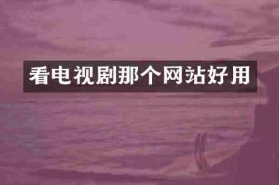 看电视剧那个网站好用