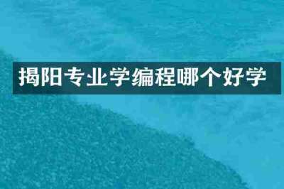 揭阳专业学编程哪个好学