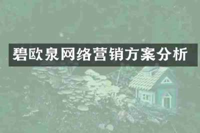 碧欧泉网络营销方案分析
