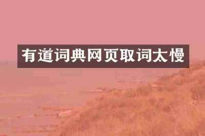 有道词典网页取词太慢