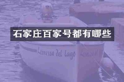 石家庄百家号都有哪些
