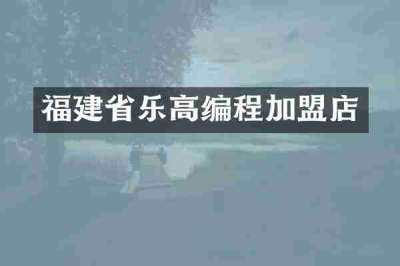 福建省乐高编程加盟店