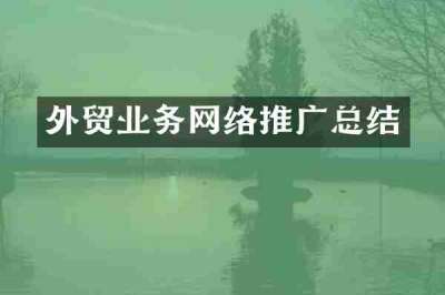 外贸业务网络推广总结