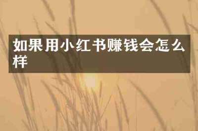 如果用小红书赚钱会怎么样