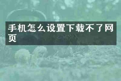 手机怎么设置下载不了网页