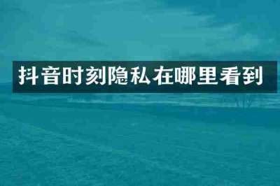 抖音时刻隐私在哪里看到