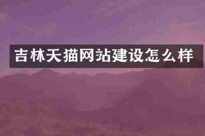 吉林天猫网站建设怎么样